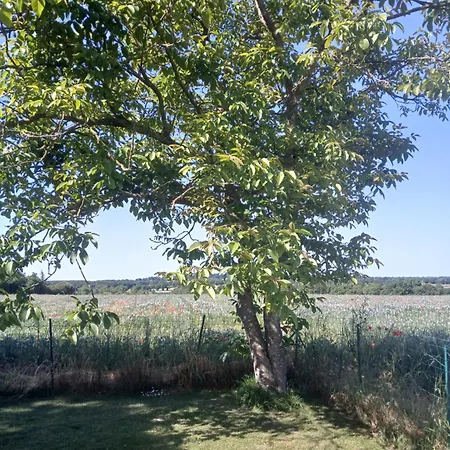 Chez Juliette Mauleon