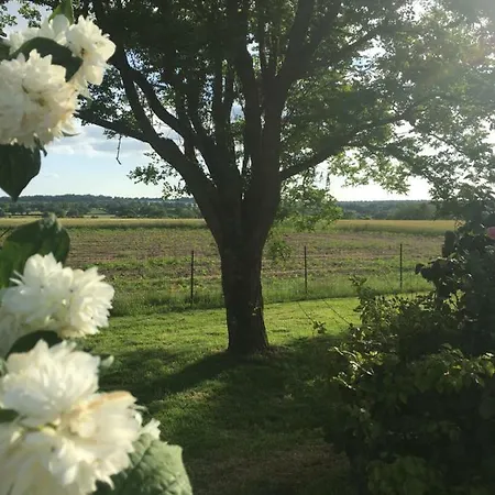 Tatil Evi Chez Juliette Mauleon